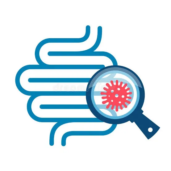 Optimal Digestive Support Gut Microbiome Icon SEO Optimized