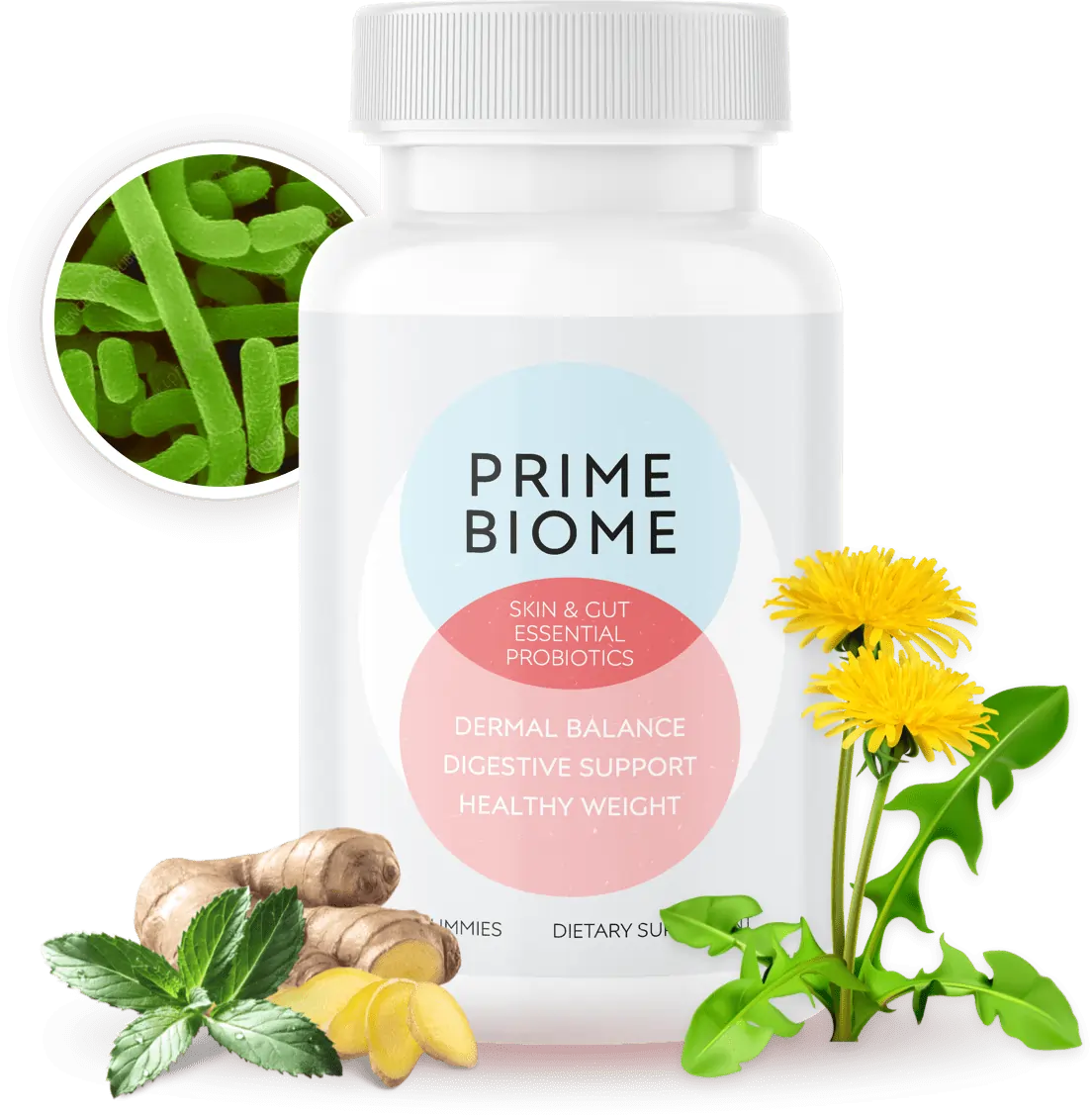 PrimeBiome Probiotic Gummy Supplement Bottle SEO Optimized
